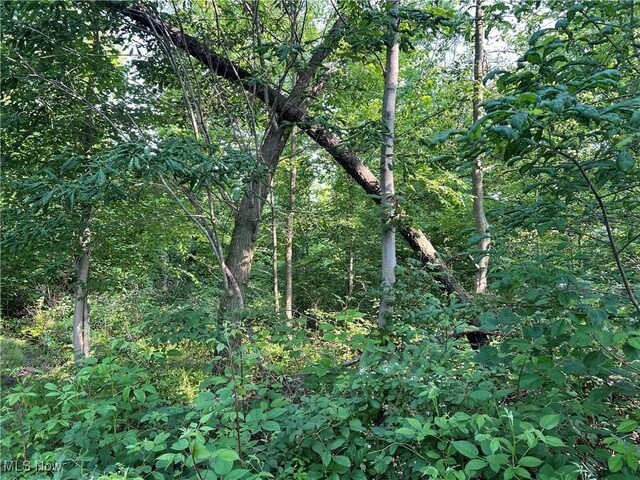 Orchard St, Andover, OH 44003