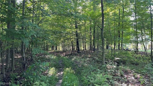 Orchard St, Andover, OH 44003