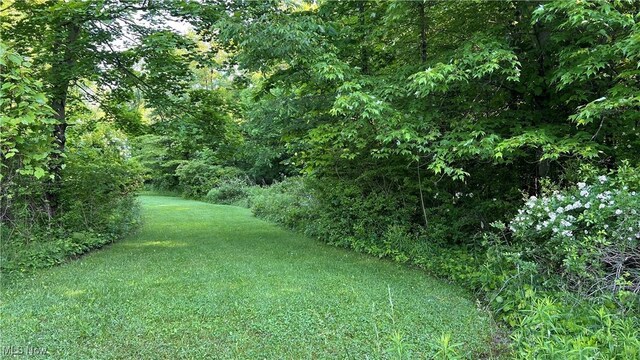 Orchard St, Andover, OH 44003