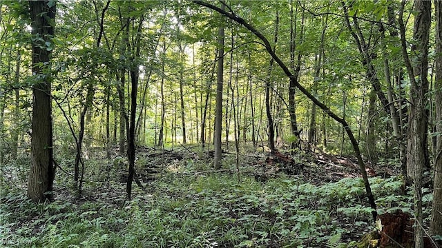 Orchard St, Andover, OH 44003