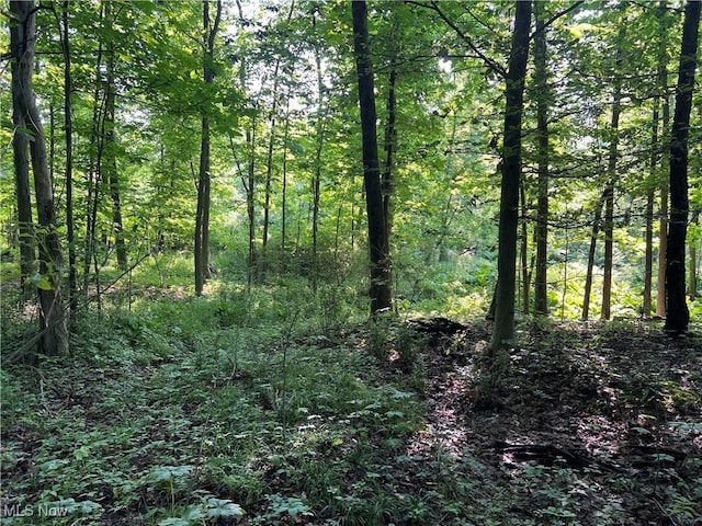 Orchard St, Andover, OH 44003