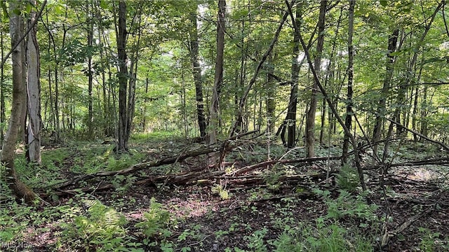 Orchard St, Andover, OH 44003
