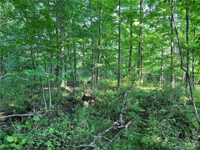 Orchard St, Andover, OH 44003