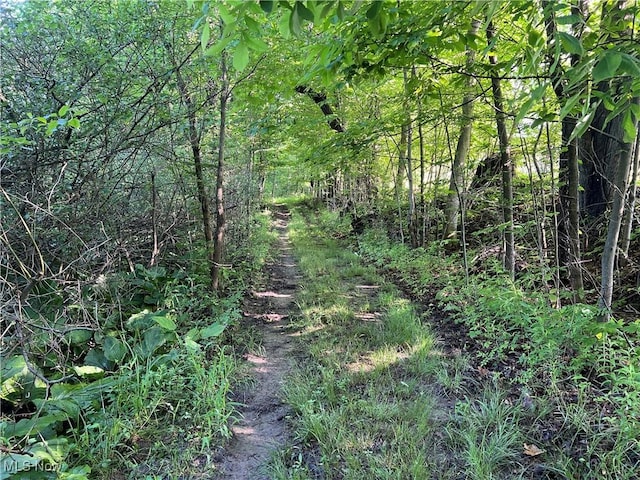 Orchard St, Andover, OH 44003
