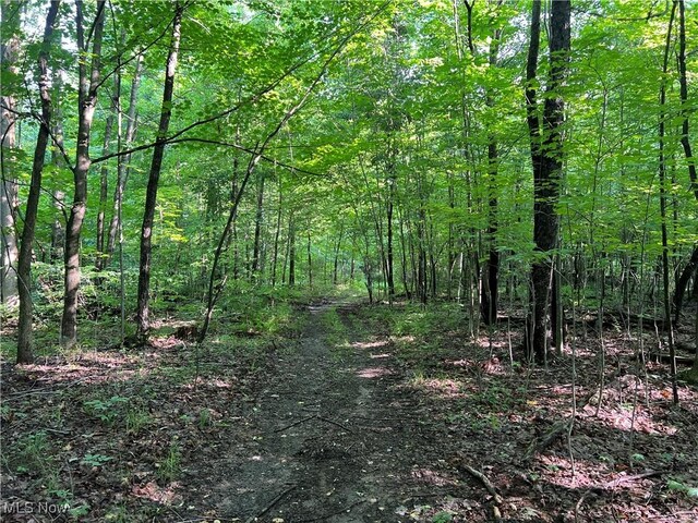 Orchard St, Andover, OH 44003