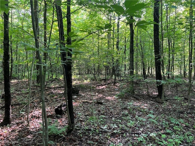 Orchard St, Andover, OH 44003