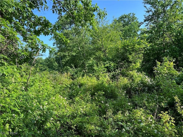 Orchard St, Andover, OH 44003