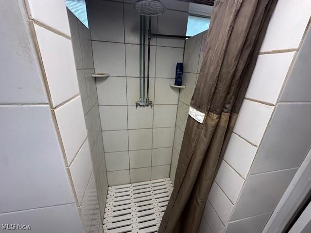 3232 Circle Dr, Cortland, OH 44410 - bathroom featuring a stall shower