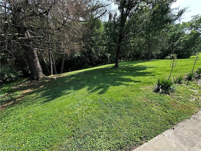 1029 Fowler Dr, Caldwell, OH 43724 - view of green lawn