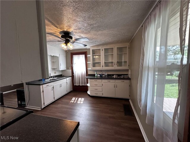 1029 Fowler Dr, Caldwell, OH 43724 - kitchen with dark countertops, a sink, a textured ceiling, dark wood-style floors, and white cabinets