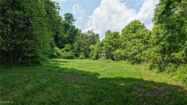 Rider Rd, Roseville, OH 43777 - photo 1