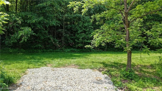 Rider Rd, Roseville, OH 43777 - photo 3