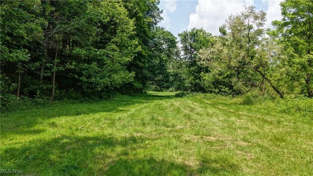 Rider Rd, Roseville, OH 43777 - photo 4