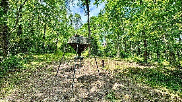 Rider Rd, Roseville, OH 43777 - photo 21
