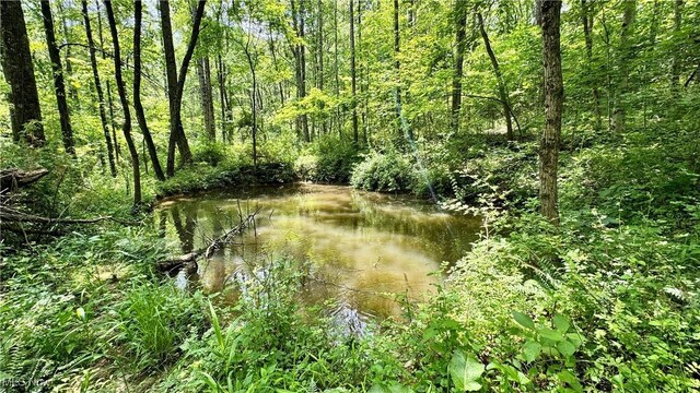 Rider Rd, Roseville, OH 43777 - photo 22