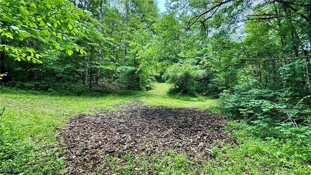 Rider Rd, Roseville, OH 43777 - photo 13