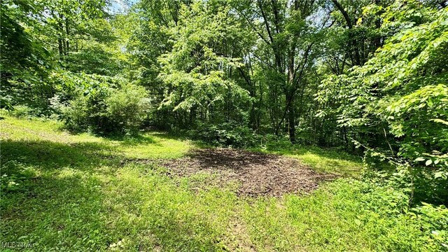 Rider Rd, Roseville, OH 43777 - photo 14