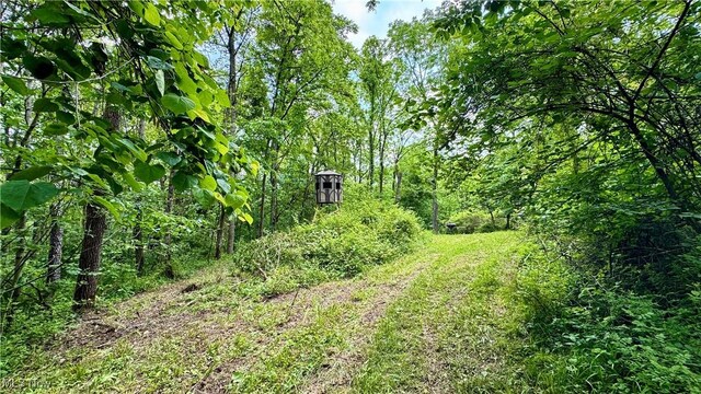 Rider Rd, Roseville, OH 43777 - photo 15