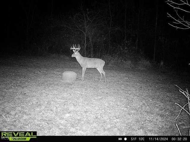Rider Rd, Roseville, OH 43777 - photo 27