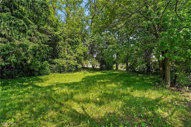 1500 Home Ave, Akron, OH 44310 - photo 2