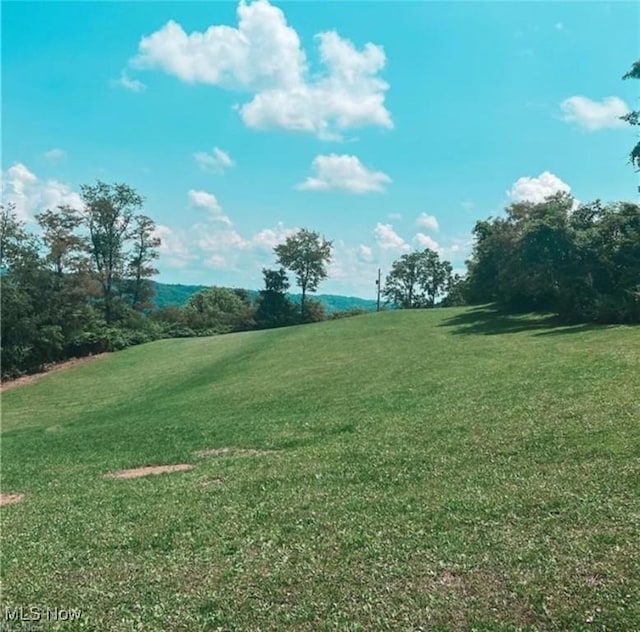 67620 Kirkwood Heights Rd, Bridgeport, OH 43912 - photo 3