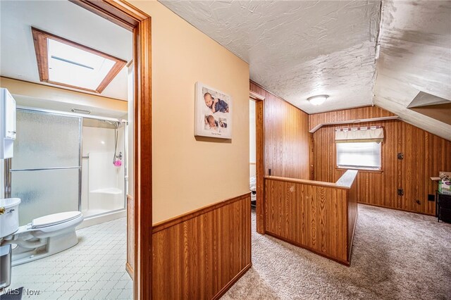 3310 Wilson Ave, Ashtabula, OH 44004 - additional living space with wooden walls, vaulted ceiling, a textured ceiling, a wainscoted wall, and carpet flooring