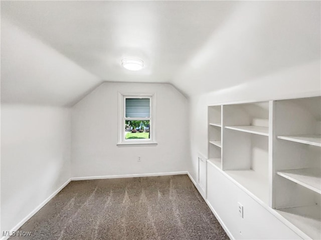 24451 Devoe Ave, Euclid, OH 44123 - additional living space with carpet flooring, built in shelves, and lofted ceiling