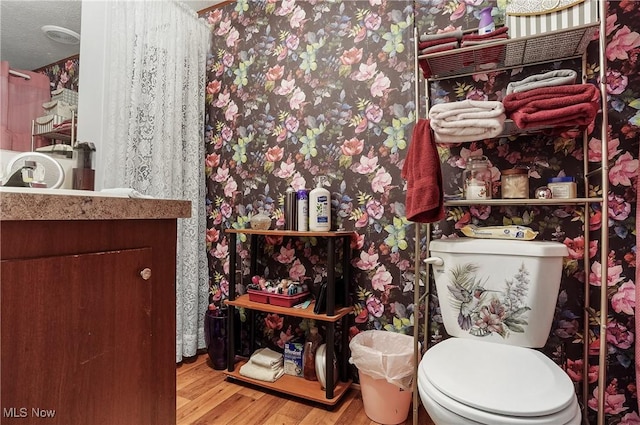 28 E Buddy St, New Franklin, OH 44203 - bathroom featuring wood finished floors and vanity