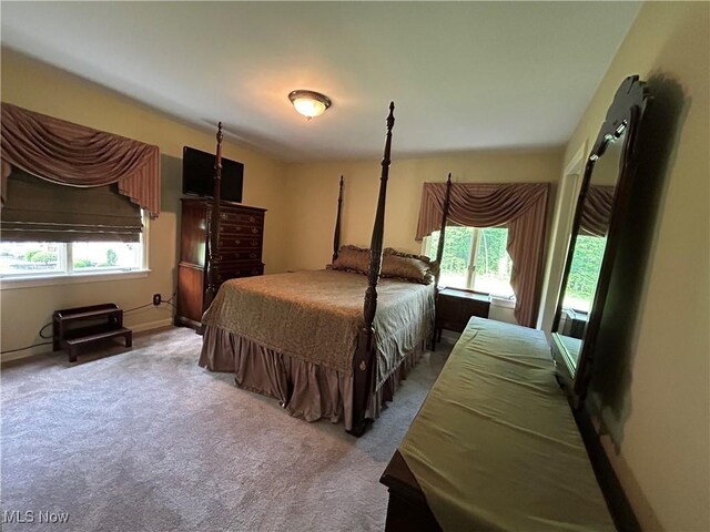 695 Blueberry Hill Dr, Canfield, OH 44406 - photo 12