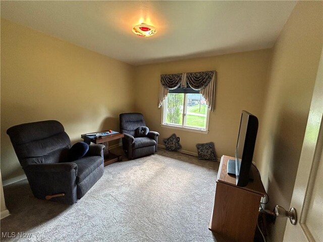 695 Blueberry Hill Dr, Canfield, OH 44406 - photo 15