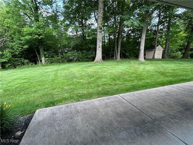 695 Blueberry Hill Dr, Canfield, OH 44406 - photo 24