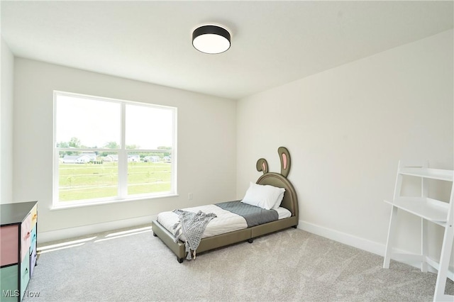 606 Mull Ave Unit 13, Akron, OH 44313 - bedroom featuring carpet floors and multiple windows