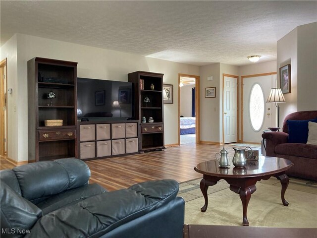 454 Lincoln Ave NW, Carrollton, OH 44615 - living area with wood finished floors and a textured ceiling