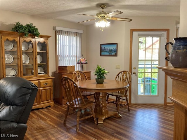454 Lincoln Ave NW, Carrollton, OH 44615 - dining space with dark wood-type flooring, plenty of natural light, a ceiling fan, and a textured ceiling