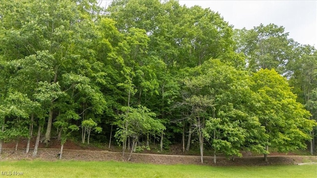 Sandy Run Rd, Elizabeth, WV 26143