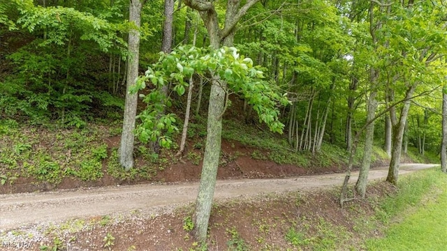 Sandy Run Rd, Elizabeth, WV 26143