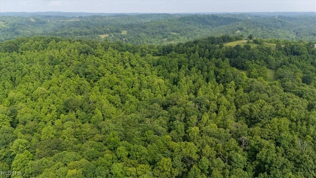 Sandy Run Rd, Elizabeth, WV 26143