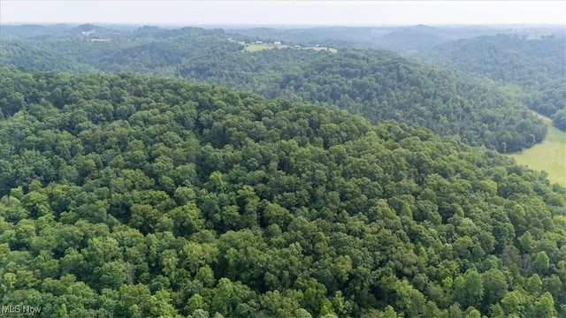 Sandy Run Rd, Elizabeth, WV 26143