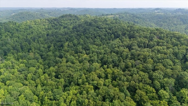 Sandy Run Rd, Elizabeth, WV 26143