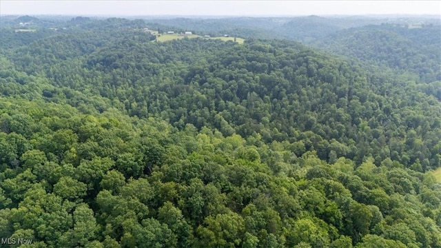 Sandy Run Rd, Elizabeth, WV 26143