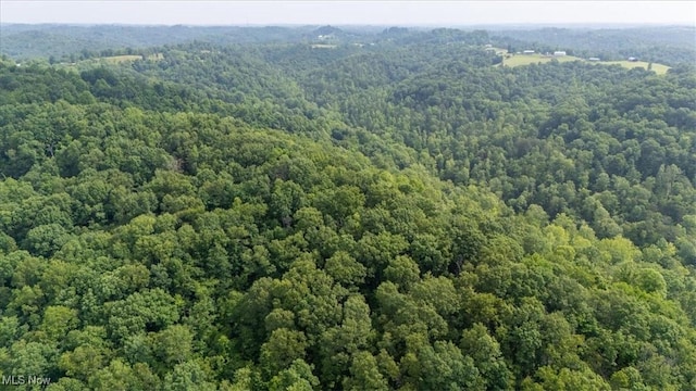 Sandy Run Rd, Elizabeth, WV 26143
