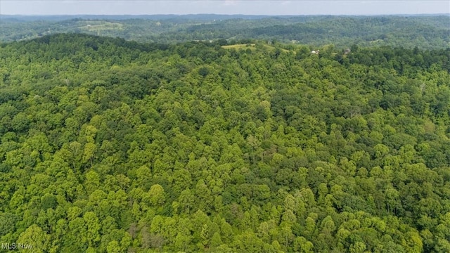 Sandy Run Rd, Elizabeth, WV 26143