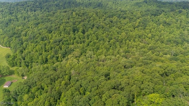 Sandy Run Rd, Elizabeth, WV 26143