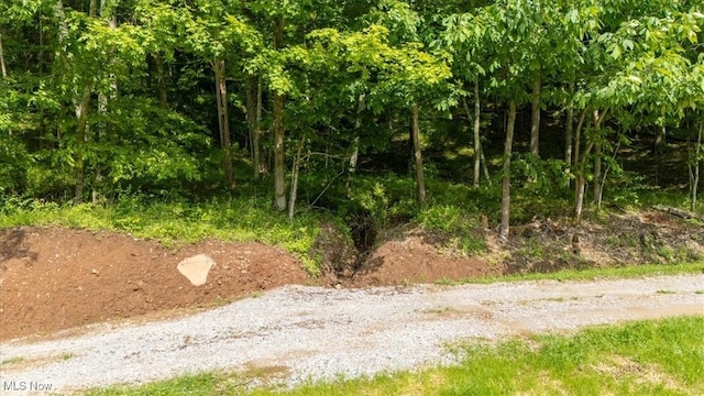 Sandy Run Rd, Elizabeth, WV 26143