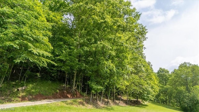 Sandy Run Rd, Elizabeth, WV 26143
