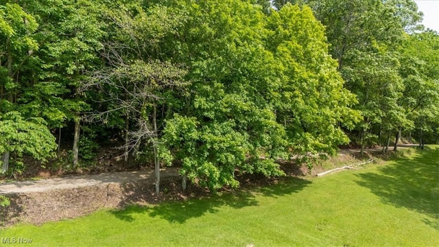 Sandy Run Rd, Elizabeth, WV 26143