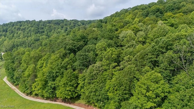 Sandy Run Rd, Elizabeth, WV 26143