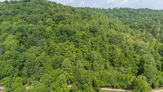 Sandy Run Rd, Elizabeth, WV 26143