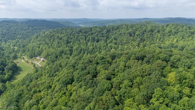 Sandy Run Rd, Elizabeth, WV 26143