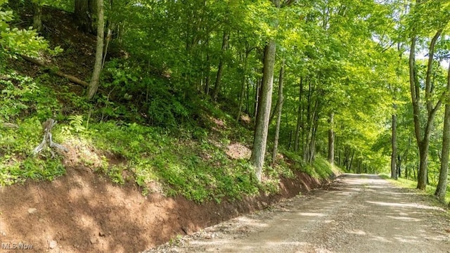 Sandy Run Rd, Elizabeth, WV 26143
